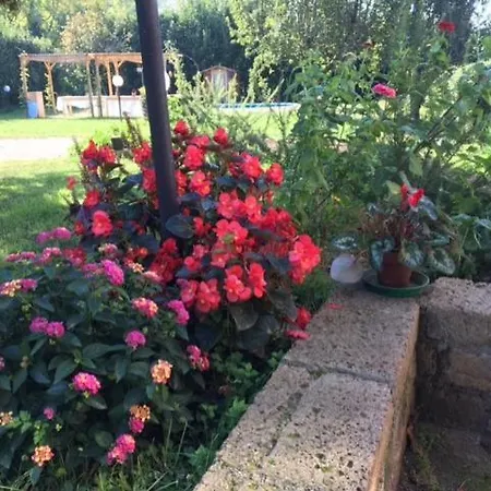 Il Giardino Dei Desideri *