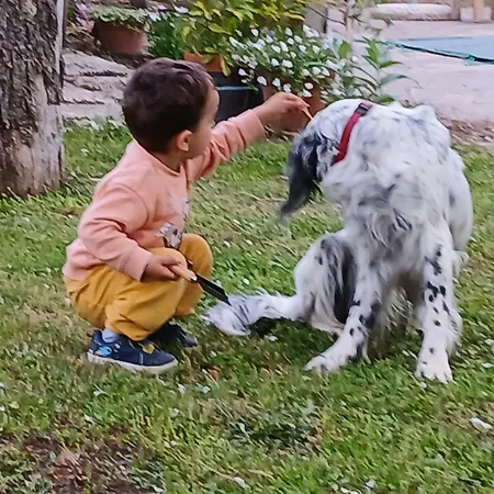 Il Giardino Dei Desideri Farma *